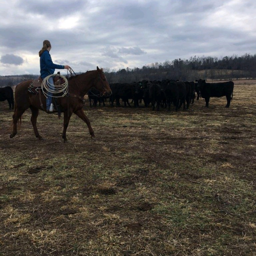 Meet your Posher, Megan